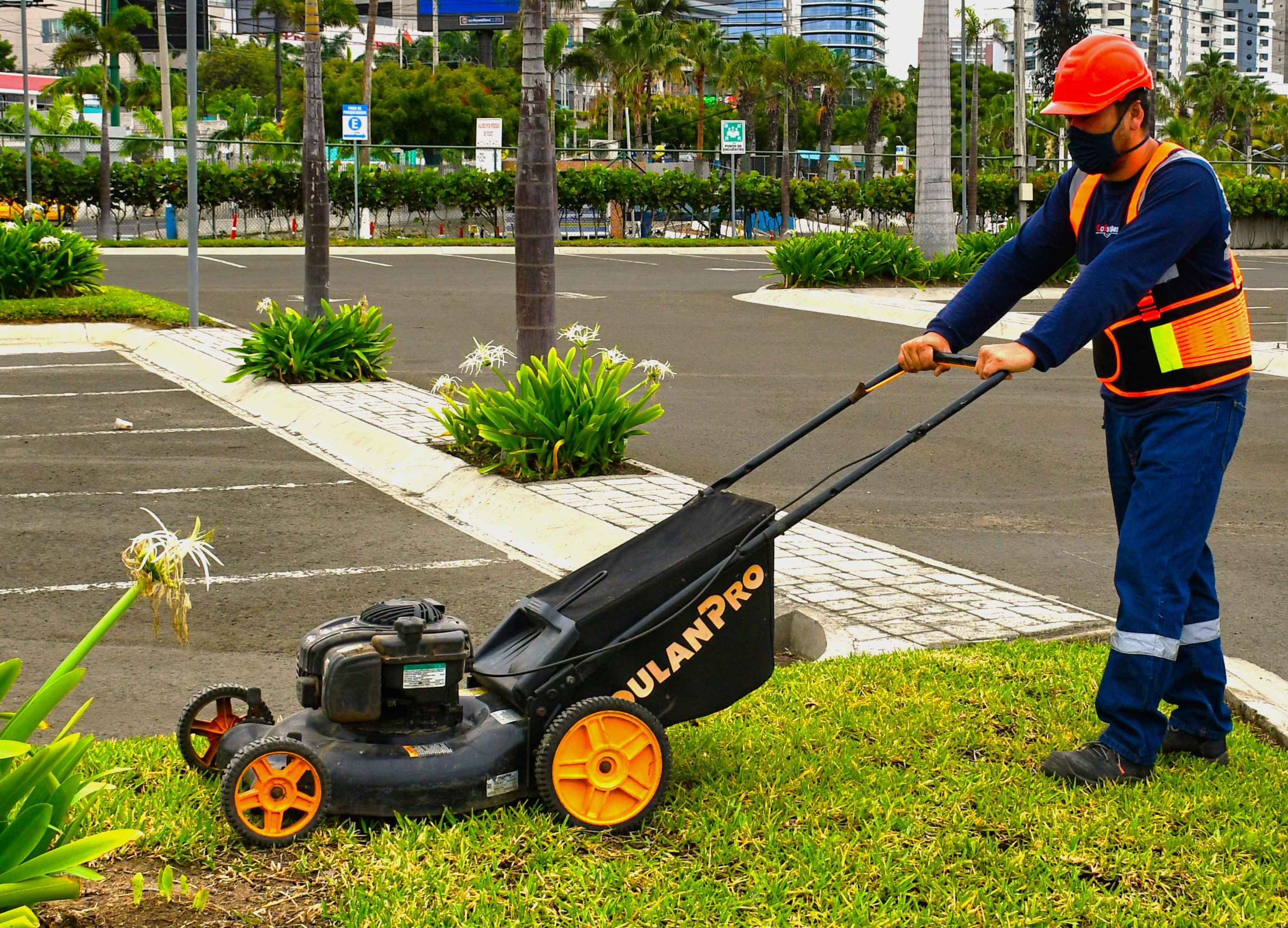 Jardineria_webpage1